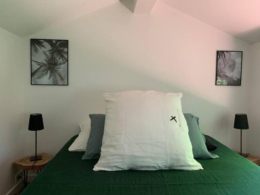 Villa Cabanon à Carqueiranne Extérieur photo